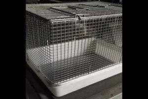 Animal Rescue Cage