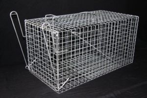 Cat Trap