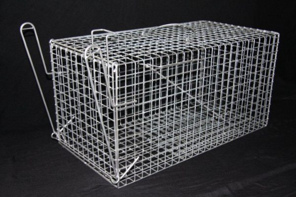 Cat Trap