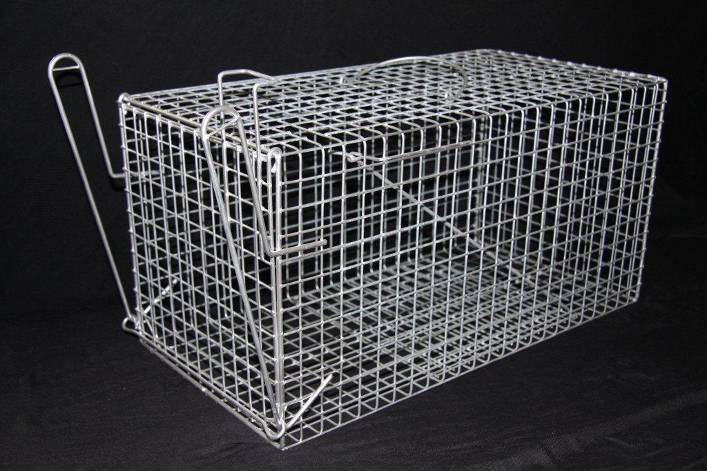 Cat Trap