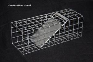 One Way Door Small