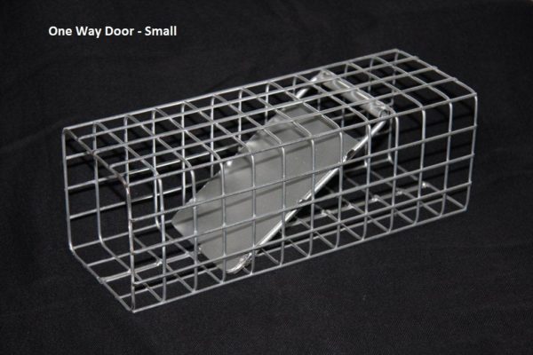 One Way Door Small