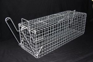 Possum Trap Medium