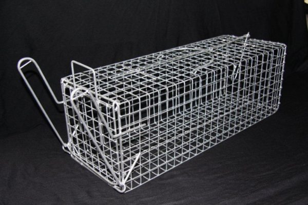 Possum Trap Medium