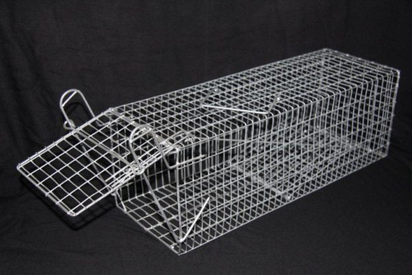 Rodent Trap with plate