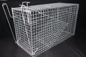 Turkey Trap