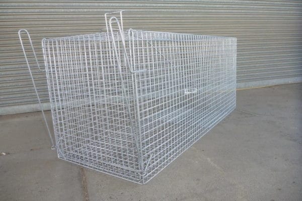 Feral Dog/Fox Trap