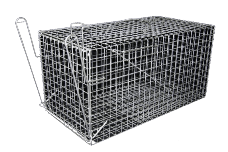 Cat Trap